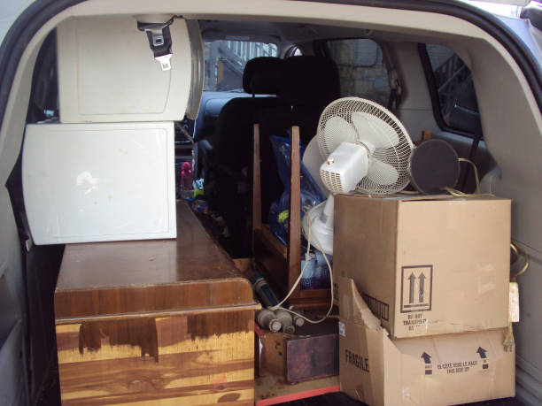 Best Hoarding Cleanup  in Millwood, WA